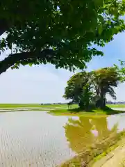 愛宕神社の周辺