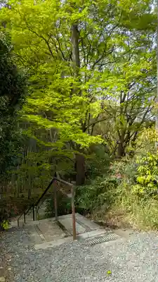 圓光寺(京都府)