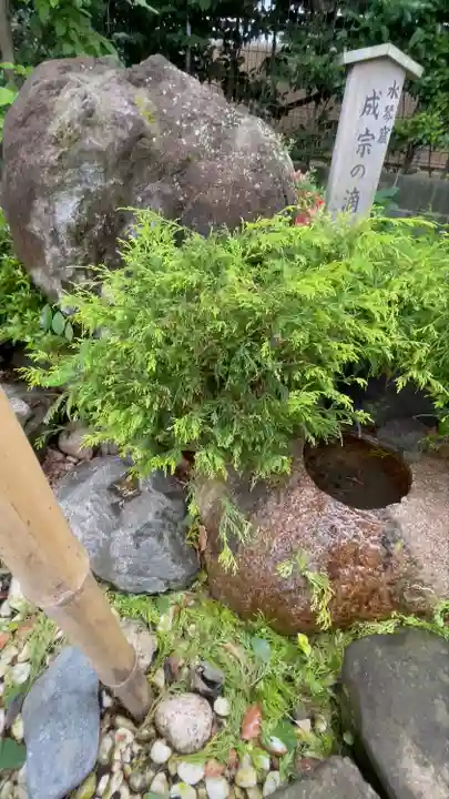須賀神社(東京都)