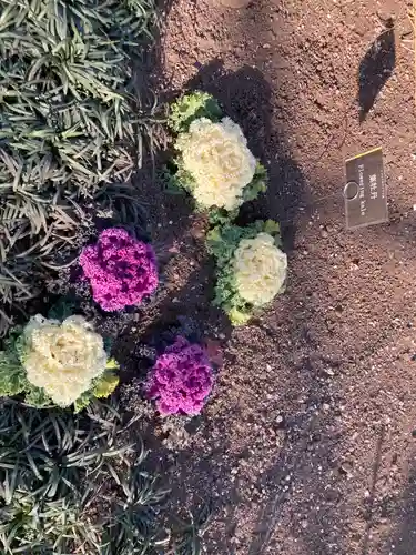 上野東照宮(東京都)