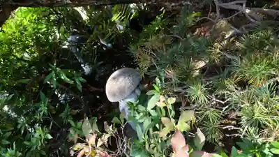 霊源院(京都府)