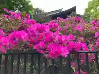 清水観音堂の{uncategorized: "未分類", other: "その他", undefined: "問題あり", building: "その他建物", grave: "お墓", sacred_gate: "鳥居", guardian: "狛犬", statue: "像", buddha: "仏像", history: "歴史", nature: "自然", garden: "庭園", animal: "動物", pagoda: "塔", temizu: "手水舎", mountain_gate: "山門・神門", sanctuary: "本殿・本堂", subordinate: "末社・摂社", art: "芸術", scenery: "景色", jizo: "地蔵", ema: "絵馬", goshuin: "御朱印", omikuji: "おみくじ", items: "授与品その他", amulet: "お守り", goshuincho: "御朱印帳", eats: "食事", festival: "お祭り", votive_dance: "神楽", shichigosan: "七五三参", wedding: "結婚式", experience: "体験その他", initially: "初詣", around: "周辺", anti_infection: "感染症対策"}