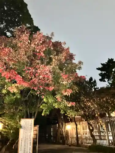 伊勢山皇大神宮(神奈川県)