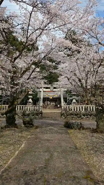 天鷹神社(岐阜県)
