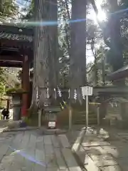 日光二荒山神社(栃木県)