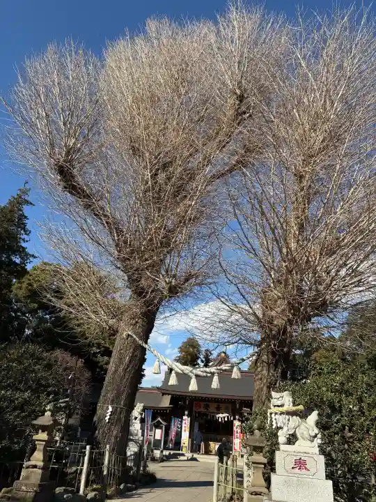 亀ケ池八幡宮の{uncategorized: "未分類", other: "その他", undefined: "問題あり", building: "その他建物", grave: "お墓", sacred_gate: "鳥居", guardian: "狛犬", statue: "像", buddha: "仏像", history: "歴史", nature: "自然", garden: "庭園", animal: "動物", pagoda: "塔", temizu: "手水舎", mountain_gate: "山門・神門", sanctuary: "本殿・本堂", subordinate: "末社・摂社", art: "芸術", scenery: "景色", jizo: "地蔵", ema: "絵馬", goshuin: "御朱印", omikuji: "おみくじ", items: "授与品その他", amulet: "お守り", goshuincho: "御朱印帳", eats: "食事", festival: "お祭り", votive_dance: "神楽", shichigosan: "七五三参", wedding: "結婚式", experience: "体験その他", initially: "初詣", around: "周辺", anti_infection: "感染症対策"}