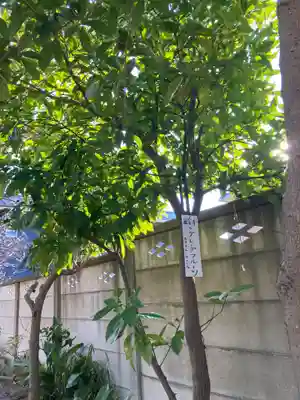 教善寺(神奈川県)