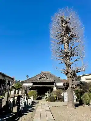 本榮寺（本栄寺）(東京都)