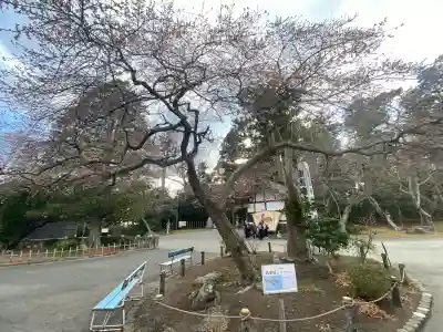志波彦神社・鹽竈神社の{uncategorized: "未分類", other: "その他", undefined: "問題あり", building: "その他建物", grave: "お墓", sacred_gate: "鳥居", guardian: "狛犬", statue: "像", buddha: "仏像", history: "歴史", nature: "自然", garden: "庭園", animal: "動物", pagoda: "塔", temizu: "手水舎", mountain_gate: "山門・神門", sanctuary: "本殿・本堂", subordinate: "末社・摂社", art: "芸術", scenery: "景色", jizo: "地蔵", ema: "絵馬", goshuin: "御朱印", omikuji: "おみくじ", items: "授与品その他", amulet: "お守り", goshuincho: "御朱印帳", eats: "食事", festival: "お祭り", votive_dance: "神楽", shichigosan: "七五三参", wedding: "結婚式", experience: "体験その他", initially: "初詣", around: "周辺", anti_infection: "感染症対策"}
