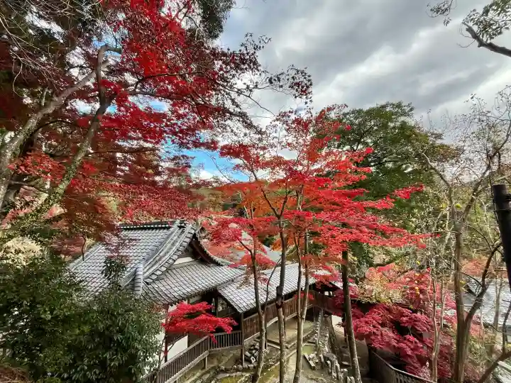 神峯山寺(大阪府)
