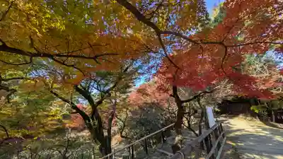 北野天満宮(京都府)