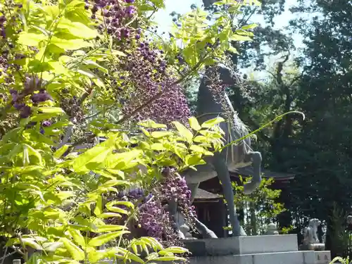 志那神社のその他建物