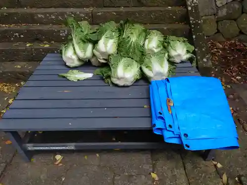 山家神社(長野県)