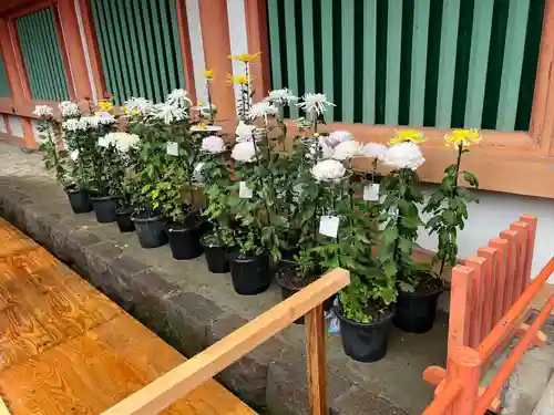 武蔵一宮氷川神社(埼玉県)