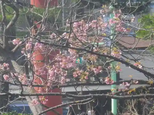 鶴岡八幡宮の自然