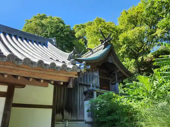 男山八幡宮の本殿