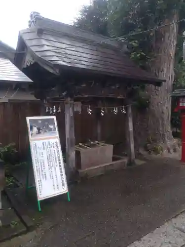 鷲宮神社(埼玉県)
