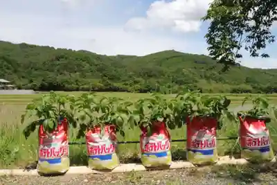 高司神社〜むすびの神の鎮まる社〜の授与品その他