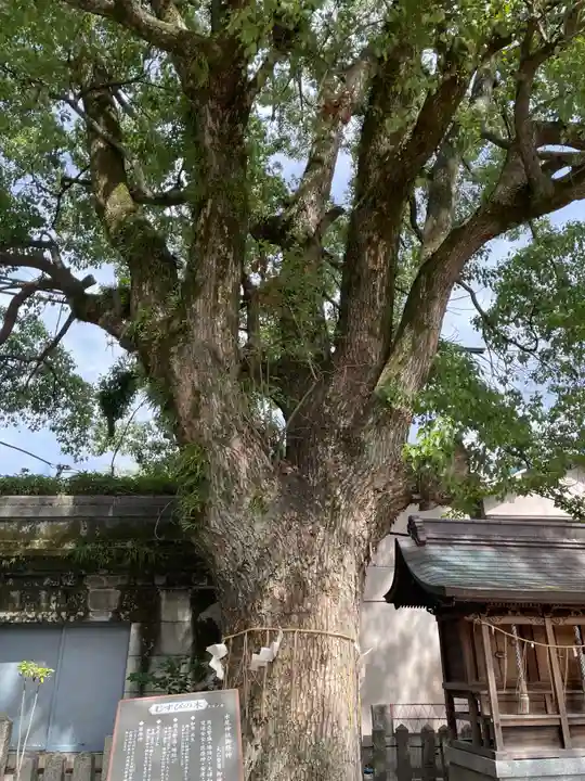 水尾神社(兵庫県)