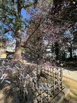 朝日森天満宮(栃木県)