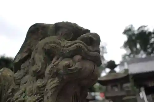 瀧宮神社の狛犬