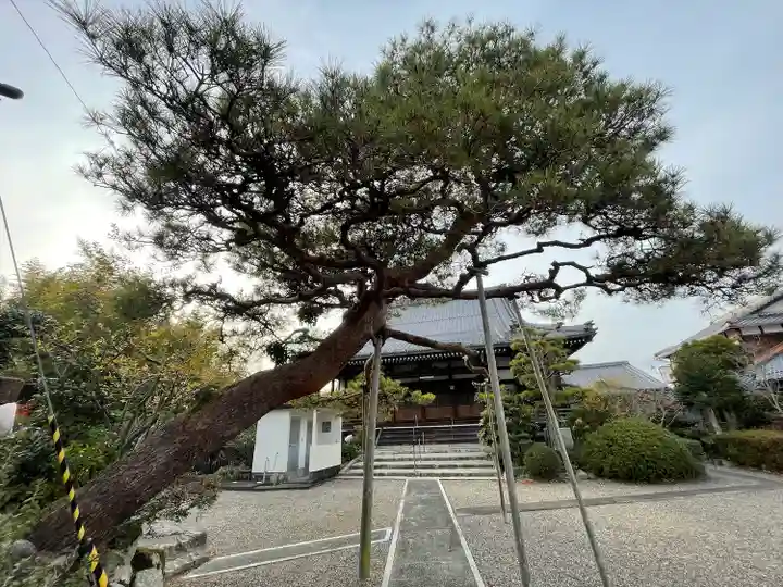 常教寺(滋賀県)