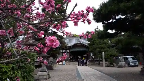 御香宮神社(京都府)