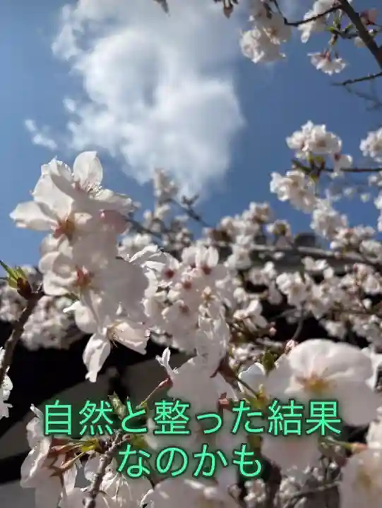 一乗院(和歌山県)