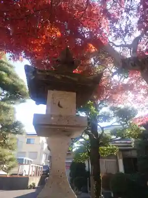 入間川大国神社(埼玉県)