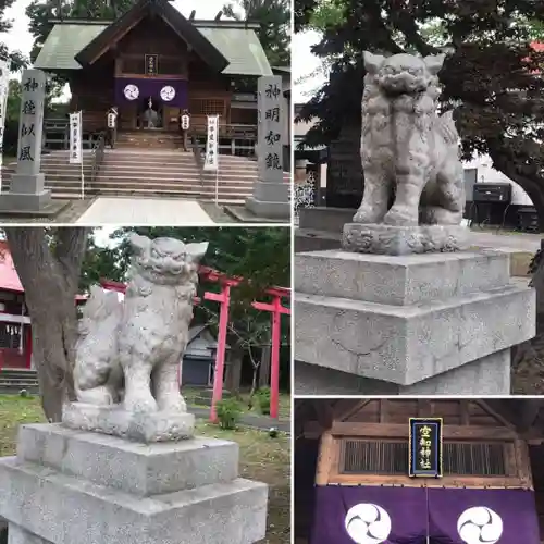 空知神社の狛犬