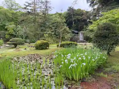 月照寺の{uncategorized: "未分類", other: "その他", undefined: "問題あり", building: "その他建物", grave: "お墓", sacred_gate: "鳥居", guardian: "狛犬", statue: "像", buddha: "仏像", history: "歴史", nature: "自然", garden: "庭園", animal: "動物", pagoda: "塔", temizu: "手水舎", mountain_gate: "山門・神門", sanctuary: "本殿・本堂", subordinate: "末社・摂社", art: "芸術", scenery: "景色", jizo: "地蔵", ema: "絵馬", goshuin: "御朱印", omikuji: "おみくじ", items: "授与品その他", amulet: "お守り", goshuincho: "御朱印帳", eats: "食事", festival: "お祭り", votive_dance: "神楽", shichigosan: "七五三参", wedding: "結婚式", experience: "体験その他", initially: "初詣", around: "周辺", anti_infection: "感染症対策"}