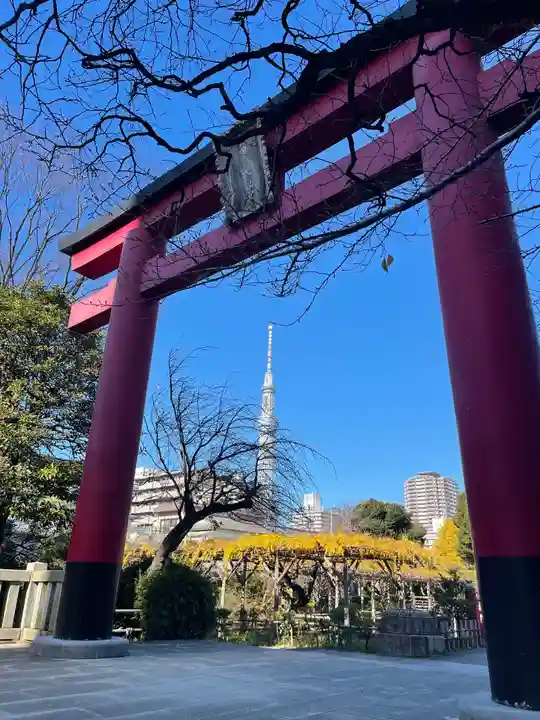 亀戸天神社の鳥居