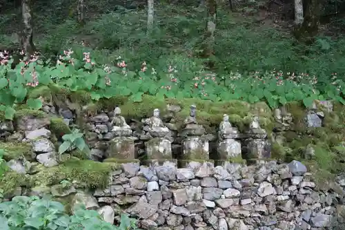 古知谷阿弥陀寺(京都府)