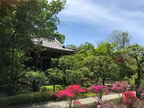 観泉寺の庭園