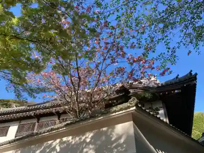 円覚寺の{uncategorized: "未分類", other: "その他", undefined: "問題あり", building: "その他建物", grave: "お墓", sacred_gate: "鳥居", guardian: "狛犬", statue: "像", buddha: "仏像", history: "歴史", nature: "自然", garden: "庭園", animal: "動物", pagoda: "塔", temizu: "手水舎", mountain_gate: "山門・神門", sanctuary: "本殿・本堂", subordinate: "末社・摂社", art: "芸術", scenery: "景色", jizo: "地蔵", ema: "絵馬", goshuin: "御朱印", omikuji: "おみくじ", items: "授与品その他", amulet: "お守り", goshuincho: "御朱印帳", eats: "食事", festival: "お祭り", votive_dance: "神楽", shichigosan: "七五三参", wedding: "結婚式", experience: "体験その他", initially: "初詣", around: "周辺", anti_infection: "感染症対策"}