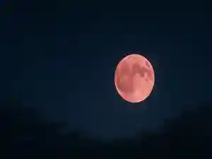 木舟山 順教寺(広島県)(2025年06月12日(木) 08時40分38秒投稿)