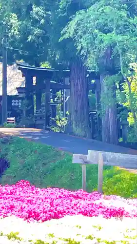 山家神社の景色