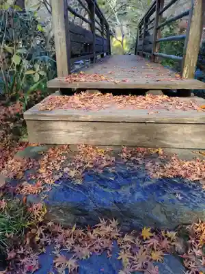 明月院(神奈川県)