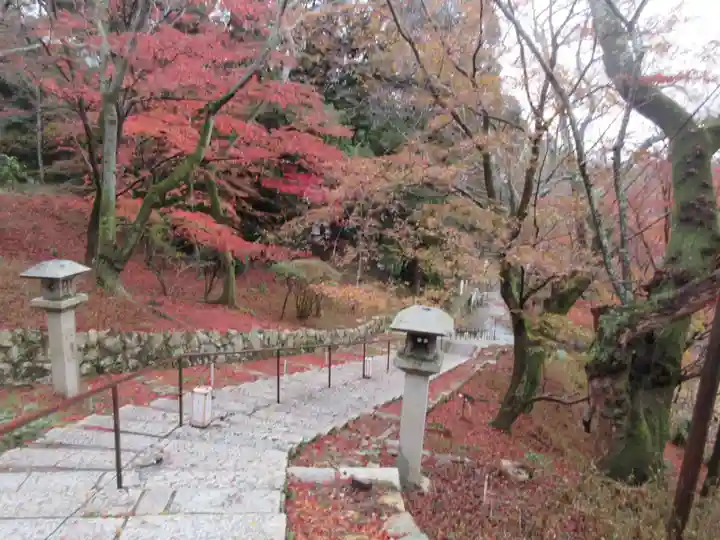 園城寺(三井寺)(滋賀県)