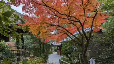 光悦寺(京都府)