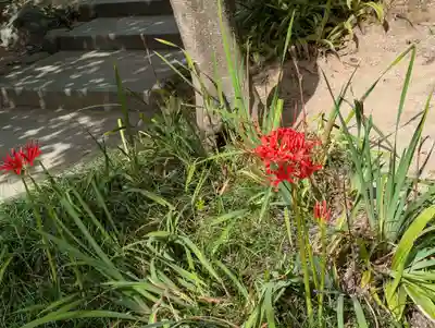 開成山大神宮(福島県)