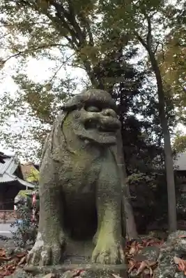 妻沼聖天山歓喜院の狛犬