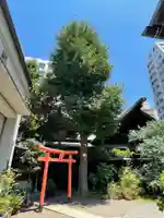 蔵前神社の自然