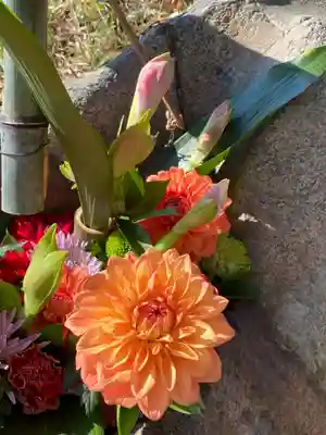 岡部春日神社～👹鬼門よけの🌺花咲く🌺やしろ～の手水舎