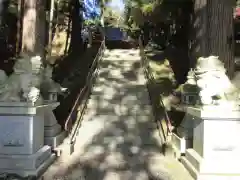 須山浅間神社の狛犬