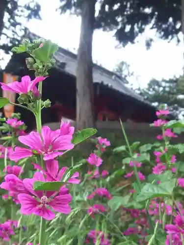 五霊神社の自然