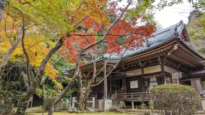 勝持寺(花の寺)(京都府)
