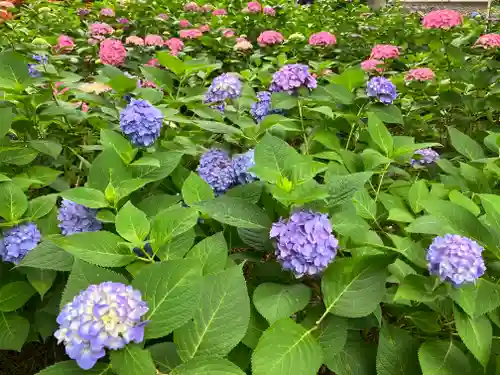 藤森神社(京都府)