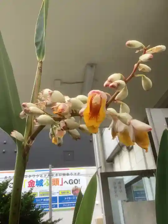 三輪神社(愛知県)