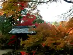 西明寺の建物その他